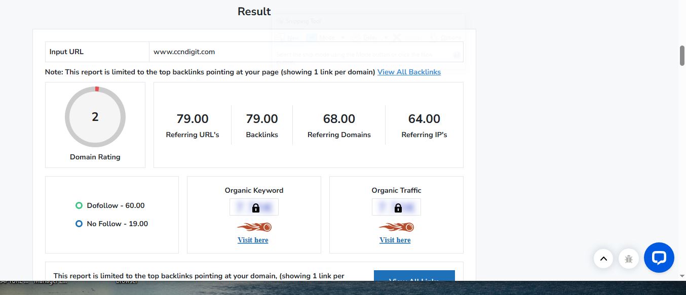 Website Authority: From Zero to Proof—Our SEO Story
