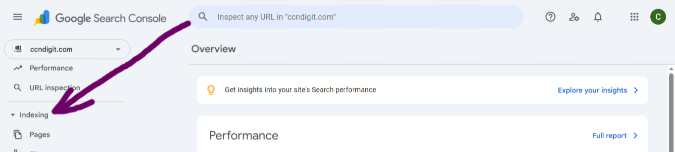 Screenshot of index report for the Google Search Console Features I Prioritize for 10Xing SEO & E.E.A.T. Performance