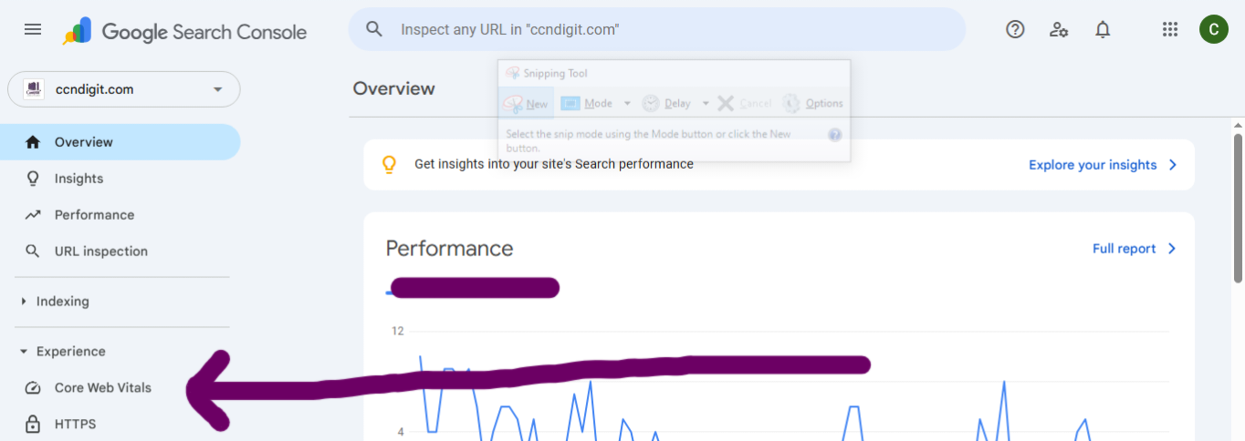 Screenshot of the Core Web Vital for the Google Search Console Features I Prioritize for 10Xing SEO & E.E.A.T. Performance