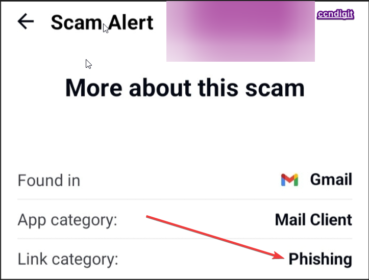 Screenshot of the Phishing Mail Header